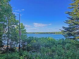 Puffin Rock - New 2022!