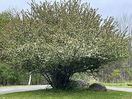 Deer Isle Farmhouse - New!