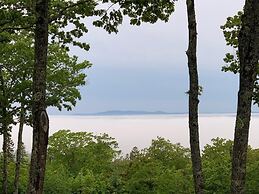 Simplify - New Offering 2023!