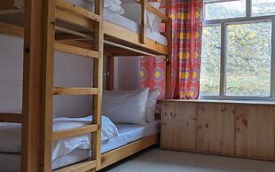 Moustache Koksar Luxuria