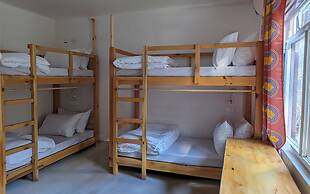 Moustache Koksar Luxuria