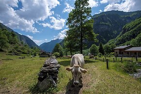 Rustico Savinera