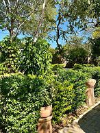 Beulah Court Vineyard Guest House