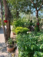 Beulah Court Vineyard Guest House