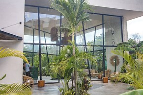 Dk Jade 30 By Sandy Powerful