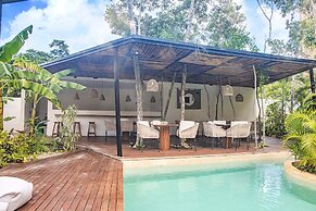 Dk Jade 30 By Sandy Powerful