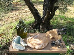 AGRITURISMO LE CERBONCHE