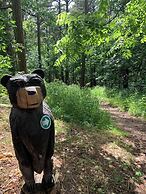 Loblolly Pines Adventure Camp