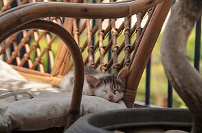 1 Bedroom Apartment on Beach Elias Upper