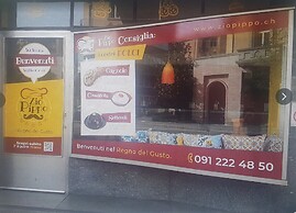 Executive Huge Flat in Central Lugano