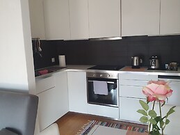 Executive Huge Flat in Central Lugano