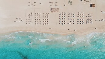 Cleopatra Sidi Heneish