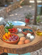 Mayouli Nature Retreat