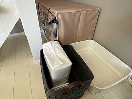 Mt. Fuji koko wantyanOK sintikubessō