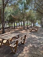 Kosk Hotel
