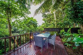 Infinity Jungle View Aashaya Villa Ubud