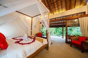Infinity Jungle View Aashaya Villa Ubud