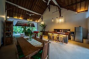 Infinity Jungle View Aashaya Villa Ubud