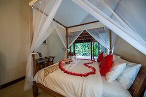 Infinity Jungle View Aashaya Villa Ubud