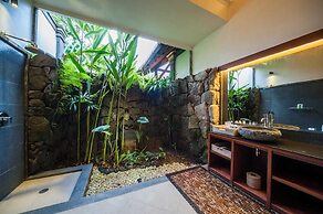 Infinity Jungle View Aashaya Villa Ubud