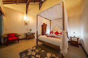 Infinity Jungle View Aashaya Villa Ubud