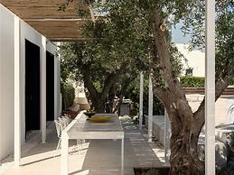 CocoTrullo