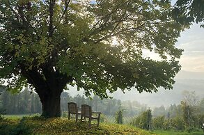Villa Verdicchio - B&B for winelovers