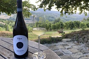 Villa Verdicchio - B&B for winelovers