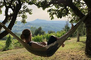Villa Verdicchio - B&B for winelovers