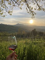 Villa Verdicchio - B&B for winelovers