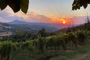 Villa Verdicchio - B&B for winelovers