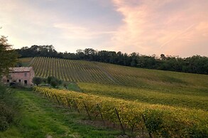 Villa Verdicchio - B&B for winelovers
