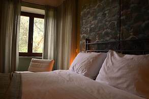 Villa Verdicchio - B&B for winelovers