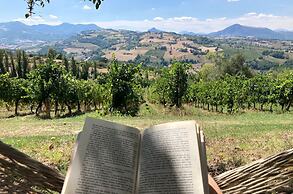 Villa Verdicchio - B&B for winelovers
