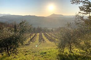 Villa Verdicchio - B&B for winelovers