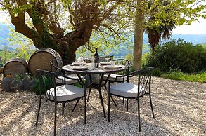 Villa Verdicchio - B&B for winelovers