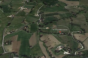 Villa Verdicchio - B&B for winelovers