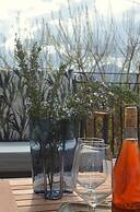 Villa Verdicchio - B&B for winelovers