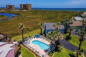 Lcv36-the Salty Sandpiper