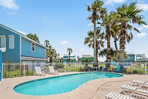 Lcv36-the Salty Sandpiper