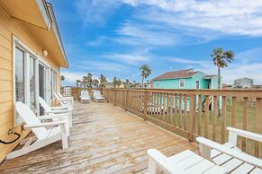 Lcv36-the Salty Sandpiper