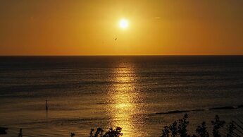 Choby's House Holbox