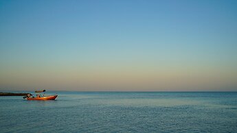 Choby's House Holbox