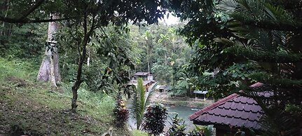 Batu Katak Gibbon guesthouse