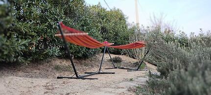 b&b Terra di collina