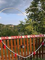 b&b Terra di collina