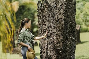 Four Seasons Explorer, Palau - Cruising Resort