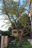 Al Baiara Resort