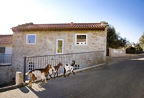Tio Zé - Casas de Selim