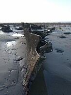 Pets Stay Free 2 Bedroom Caravan at Heacham Beach